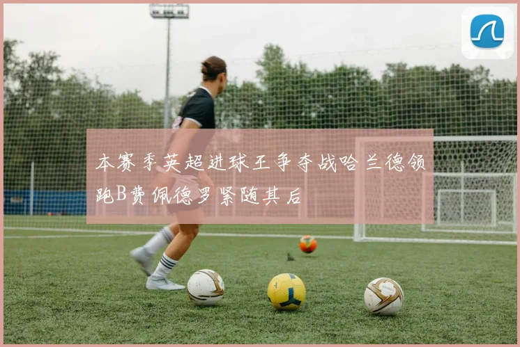 本赛季英超进球王争夺战哈兰德领跑B费佩德罗紧随其后